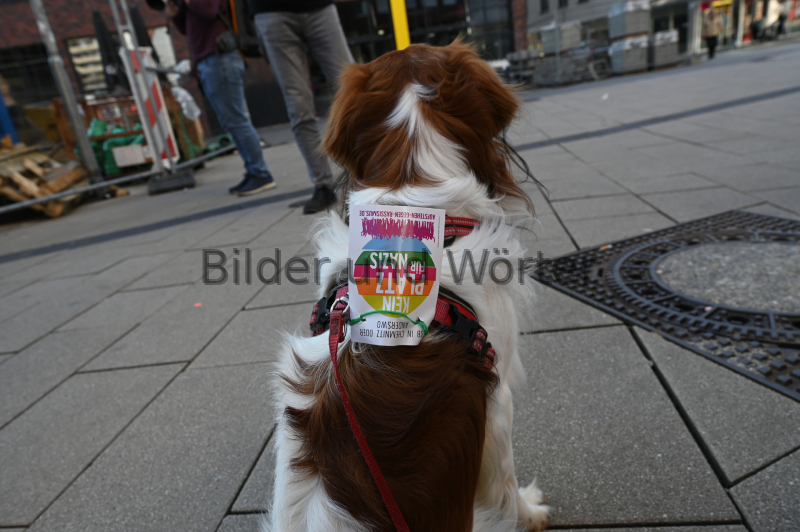 Preview bk_240303_14432907.JPG